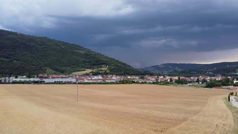 The-Brown-Fields-Of-Plants-In-The-City-Under-The-Stormy-Sky-Background-With-High-Mountains---Wide-Shot