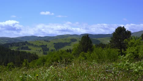Paisaje-Rural-Tranquilo-Con-Colinas-Verdes-Cubiertas-De-Pinos,-Bosques-Y-Prados-Bajo-Un-Cielo-Nublado-Brillante