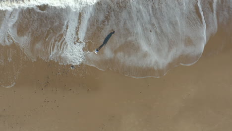 Aerial-shot-following-a-person-walking-on-an-empty-beach-with-white-foam-waves-crashing-at-he's-feet