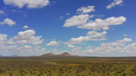 Wüstenlandschaft-Nach-Frühlingsregen,-Was-Zu-Einer-Blühenden-Pflanzenwelt-Jenseits-Der-Fernen-Berge-Führt---Luftbild-Aus-Geringer-Höhe