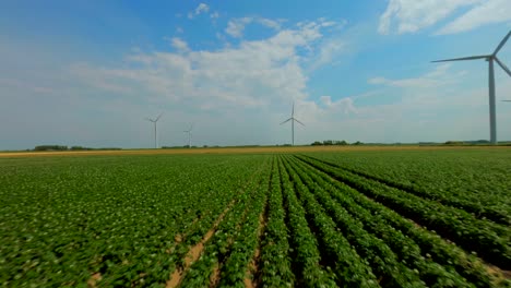 Aerial-drone-flight-over-green-agricultural-field-towards-modern-wind-turbines