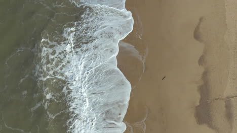 Aerial-shot-following-the-crashing-waves-on-a-empty,-sandy,-golden,-beach