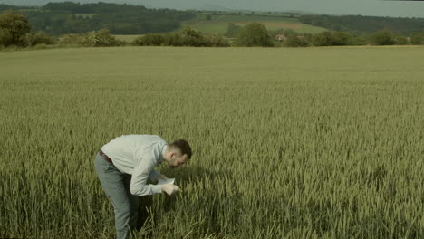 Manager-looking-into-wheat-in-field-and-making-notes-into-notepad