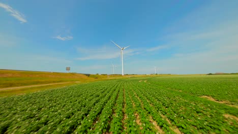 Drone-shot-of-a-lush-verdure-crops-in-the-wealth-of-natural-beauty-of-windmill-farm