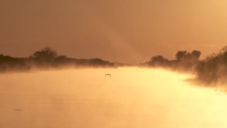 Nebliger-Morgensonnenaufgang-Auf-Dem-Wasser-Mit-Fliegenden-Vogelsilhouetten