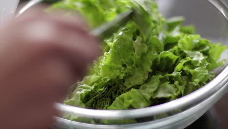 Pouring-lettuce-in-a-bowl