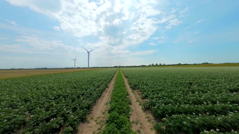 Aerial-drone-flight-alongside-potato-farm-field-with-running-wind-turbines