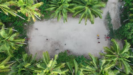 Static-High-Angle-Aerial-View-of-People-Playing-Basketball-on-Flat-Ground-Deep-in-Palm-Tree-Forest