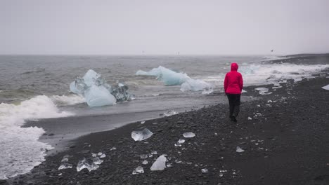 Girl-in-red-jacket-walking-away-alone-on-the-black-sand-of-the-famous-Diamond-Beach,-Iceland-during-cold-cloudy-day