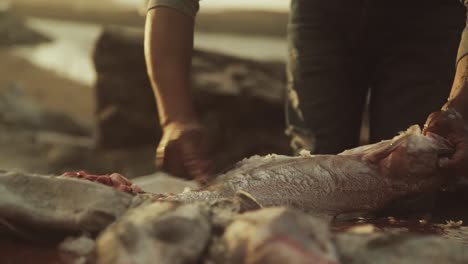 Hautnah-Fischerhände-Entfernen-Schuppen-Eines-Fisches-Mit-Messer-Authentisches-Fischerleben-Im-Meer