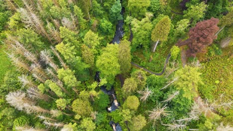 Aerial-view-of-waterfall-and-river-flowing-through-forest-in-Northern-Ireland---4K