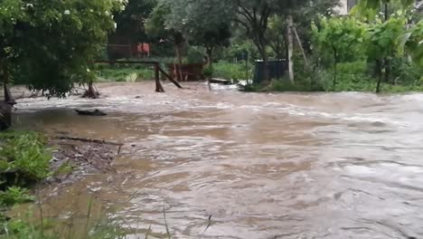 Arroyo-De-Inundación-Que-Ruge-Entre-Los-Jardines-Después-De-Fuertes-Lluvias