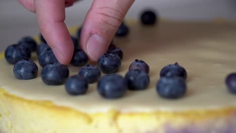 Hand-of-caucasian-man-decorating-top-of-cheesecake-with-fresh-blueberries