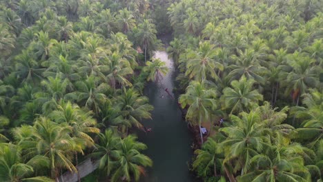 Aerial-View-of-People-Swinging-on-Rope-Attached-to-Bent-Palm-Tree-Above-Water