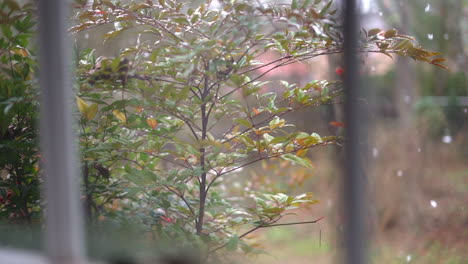 Early-Fall-Snow-Falling-as-Seen-through-the-Window-in-Slow-Motion