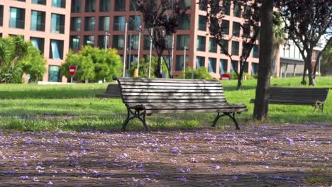 View-of-empty-bench-in-the-park-with-flowers-on-the-ground