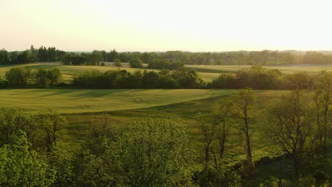 Sanfte-Hügel,-Grüne-Landwirtschaftsfelder-Während-Der-Magischen-Stunde,-Wunderschöne-Landschaftliche-Umgebung,-Luftdrohnenansicht