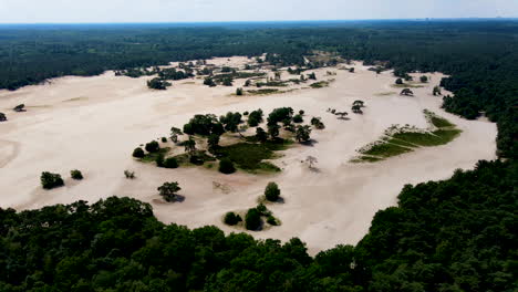 Aerial-overview-of-beautiful-sand-dunes-surrounded-by-a-green-forest-in-summer