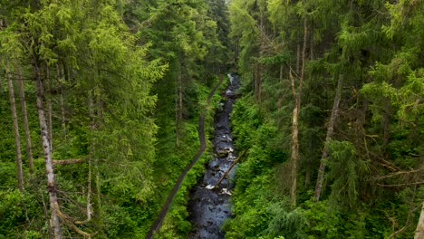Fluss,-Der-Durch-üppigen-Wald-In-Nordirland-Fließt---4k