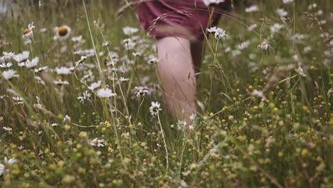 Woman-in-satin-dress-walks-barefoot-through-field-of-flowers,-low-angle