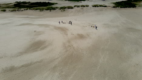 Aerial-of-family-walking-with-dogs-in-beautiful-sand-dunes-in-summer