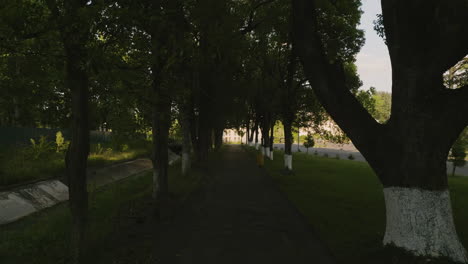 Walkway-At-The-Park-Lined-With-Painted-Trees-In-Chitakhevi,-Georgia-At-Daytime