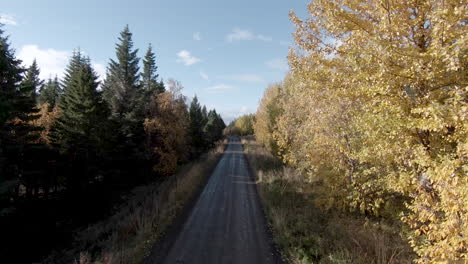 Single-road-in-countryside-with-autumn-trees-scenery-and-abandoned-cabin