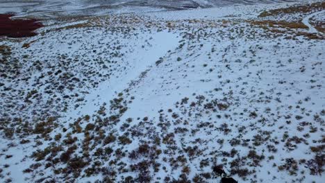 A-Snow-Covered-Sloping-Hills-During-Winter-With-Foraging-Animals