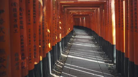 Famous-Vermillion-Torii-Gates-With-Name-And-Date-Of-The-Donations-Written-And-Sunlight-Shining-Through-The-Pillars-In-Fushimi-Inari-Shrine-In-Kyoto,-Japan