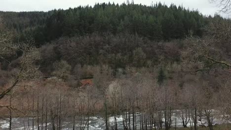 Drohne-Luftaufnahme-Bewegt-Sich-Durch-Bäume-In-Richtung-Afon-Lledr-Fluss-Und-Gwydir-Wald,-Wales-Tagsüber