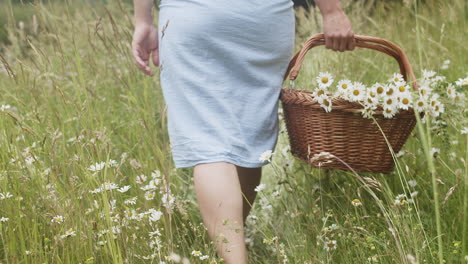 Woman-in-dress-walks-barefoot-in-tall-grass-with-flower-basket,-slow-motion