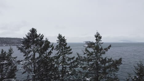 Snow-Falling-On-Pine-Trees-With-Islet-And-Sea-In-Friday-Harbor-During-Winter-In-San-Juan-Island,-Washington