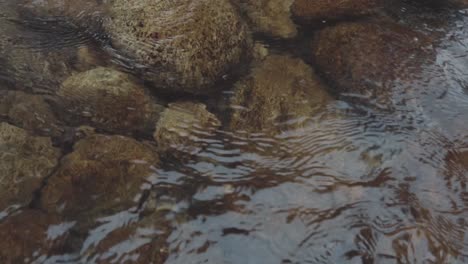 Small-river-full-of-rocks-in-a-beautiful-place