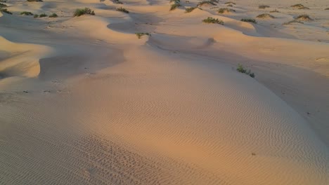 Establishing-and-revealing-aerial-drone-view-of-the-desert-and-sand-dunes-at-Wahiba-Sands-in-the-Sultanate-of-Oman