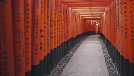 Fushimi-Inari-Shrine,-Kyoto,-Japan---Walking-Through-The-Tori-Gates-With-Names-And-Dates-Of-Donation-Written-At-The-Back---rolling-shot