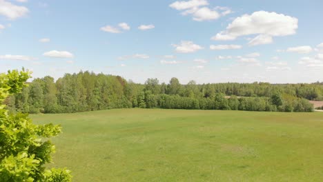 Scenic-aerial-view-of-park-behind-Oak-tree,-northern-European-landscape-in-Kurzeme,-Latvia