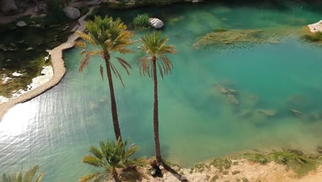 Establishing-drone-view-rising-and-revealing-amazing-oasis-with-turquoise-water-and-palms-between-mountains-and-rocks-at-Wadi-Bani-Khalid-in-Oman