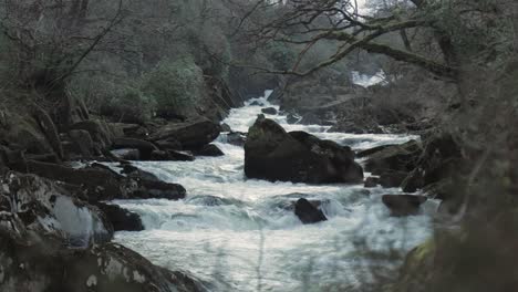 Rapid-fast-moving-water-flowing-down-river-Afon-Lledr,-Wales,-Snowdonia,-UK-Pan-Up