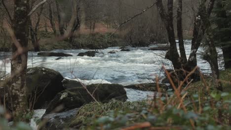 Afon-Lledr-river,-Fast-flowing-water