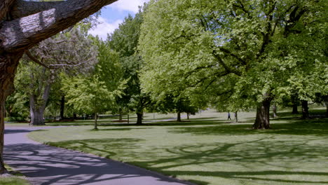 The-city-garden-park-with-shady-trees