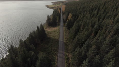 Dolly-viewpoint-above-single-road-and-coniferous-forest-next-to-lake-shore