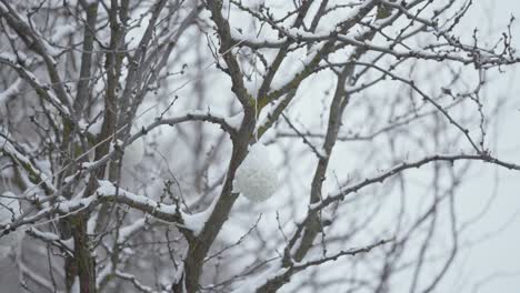 Shot-of-a-tree-covered-in-ice-with-snow-actively-falling