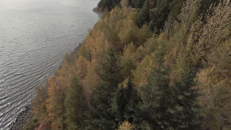 Landschaftlich-Reizvoller-Herbstwald-Am-Seeufer,-Dolly-Aufnahme