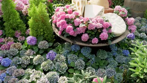 Hydrangea-Holidays-Decoration-in-Flower-Dome,-Gardens-by-the-Bay,-Singapore