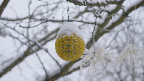 Light-up-ornaments-hanging-from-outdoor-tree-branches-covered-in-snow