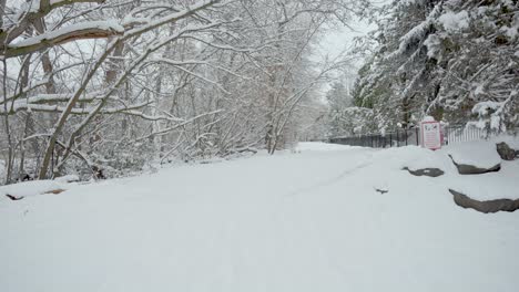 View-of-a-park-pathway-surrounded-by-trees-covered-in-snow