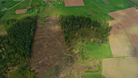 Aerial-drone-shot-over-deforestation-of-green-forest-land-beside-farmlands-along-rural-countryside-at-daytime