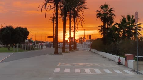 silhouette-of-palm-trees-on-empty-parking-lot-on-village-road,-Lisbon,-Portugal