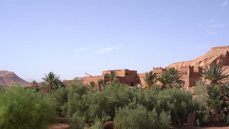 Un-Oasis-En-Medio-Del-Desierto-Del-Sahara-En-Marruecos