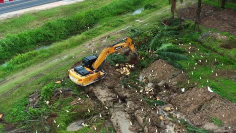 Aerial-view-of-a-digger-excavator-chopping-down-the-palm-tree-trunk-with-birds-foraging-on-the-side,-deforestation-for-palm-oil-plantation,-environmental-concerns-concept-shot